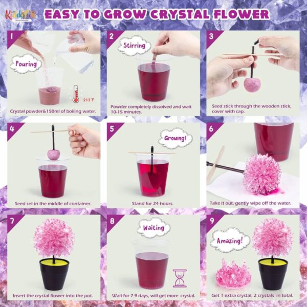 Crystal Growing Kit for Kids Age 4-12 2